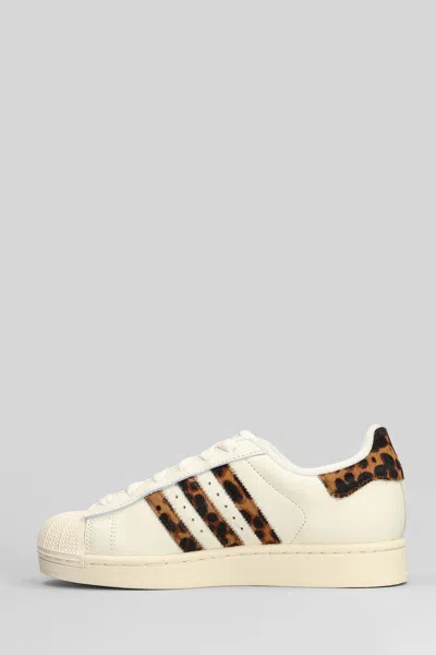 Adidas Originals Adidas Superstar Ii Sneakers In White