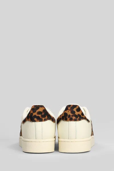 Adidas Originals Adidas Superstar Ii Sneakers In White