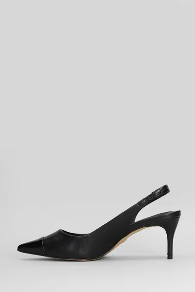 Carrano Pumps In Black