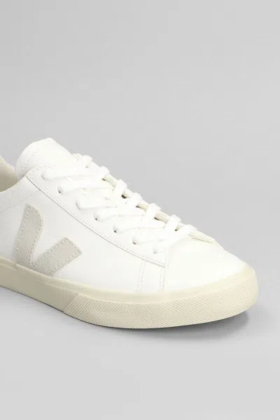 Veja Campo Sneakers In White
