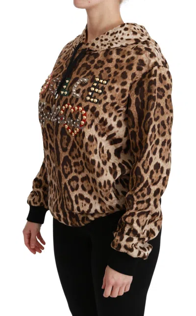Dolce & Gabbana Brown Hooded Studded Ayers Leopard Sweater In Brown