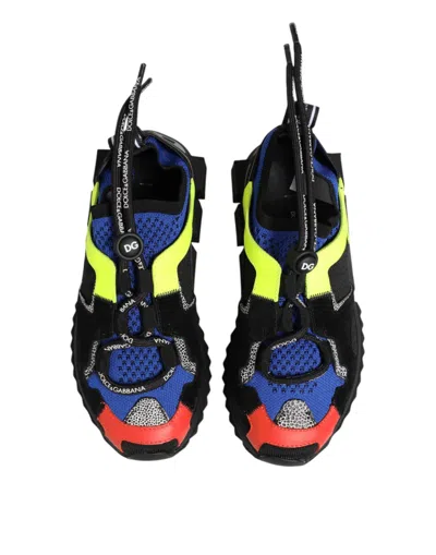 Dolce & Gabbana Multicolor Low Top Sorrento Sneakers Women's Shoes In Multi