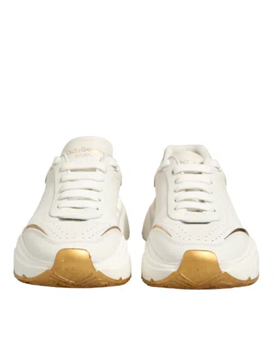 Pre-owned Dolce & Gabbana White Gold Daymaster Low Top Sneakers Women's Shoes ()