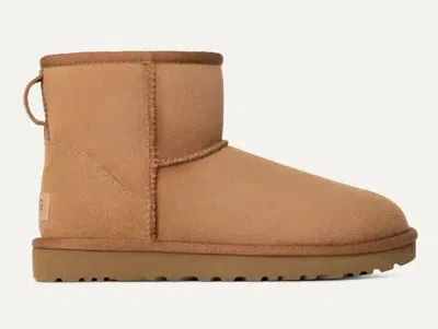Ugg Boots In Brown