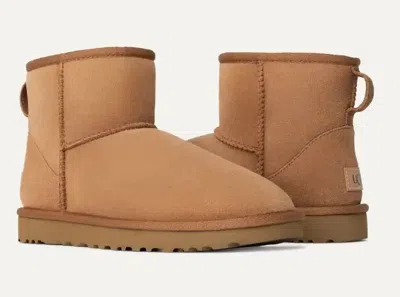 Ugg Boots In Brown