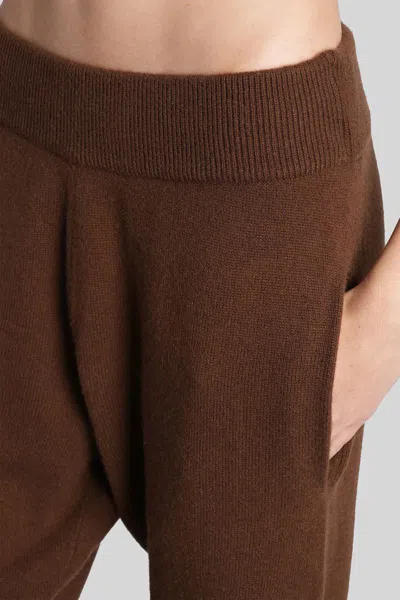 Entire Studios Pants In Brown Wool In Brown