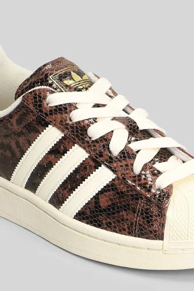 Adidas Originals Adidas Superstar Ii Sneakers In Brown