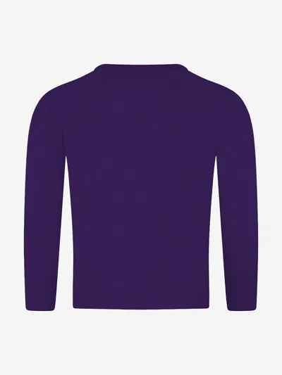 Zeco Schoolwear Zeco Kids School Knitted V-neck Jumper In Purple
