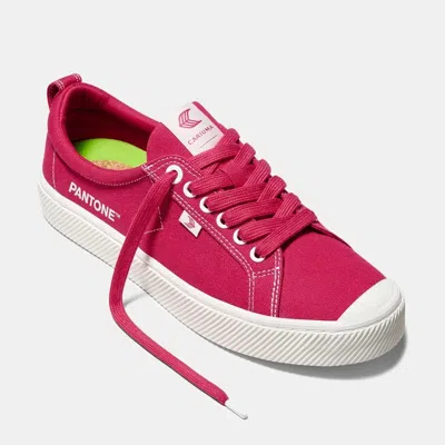 Cariuma Sneaker Women's Uspantone Ruby Wine Low Top Lifestyle Shoes Gal792 In Red