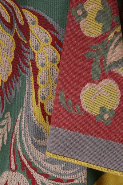 Etro Cape With Pasly Motif Scarves And Foulards Multicolor In Multi