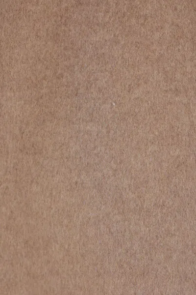 Max Mara Coats In Brown