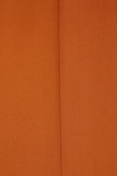 Saint Laurent Silk High-neck Top Tops Brown In Brown