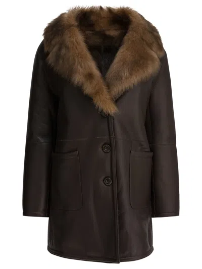 B&w Jackets & Coats In Brown