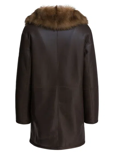 B&w Jackets & Coats In Brown