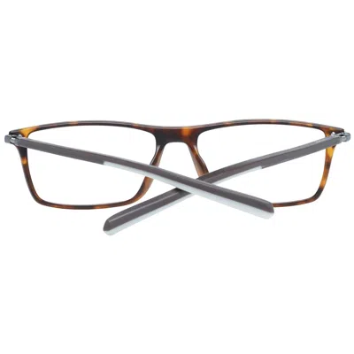 Ducati Brown Plastic Glasses Men's (frames) In Brown