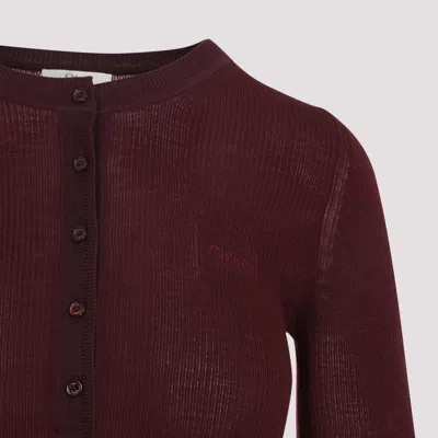 Chloé Burgundy Wool And Silk Pullover In Black