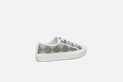 Dior Veja Rio Branco Ii Sneakers