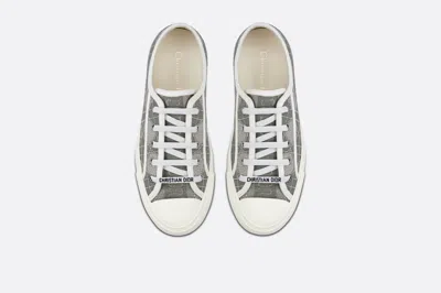 Dior Veja Rio Branco Ii Sneakers