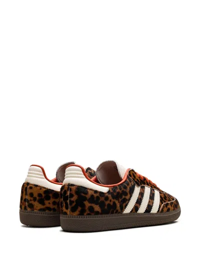 Adidas Originals Brown Samba Og Sneakers In Brown