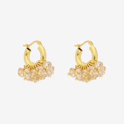 Annele Mini Biscuit Bliss Earrings In Gold
