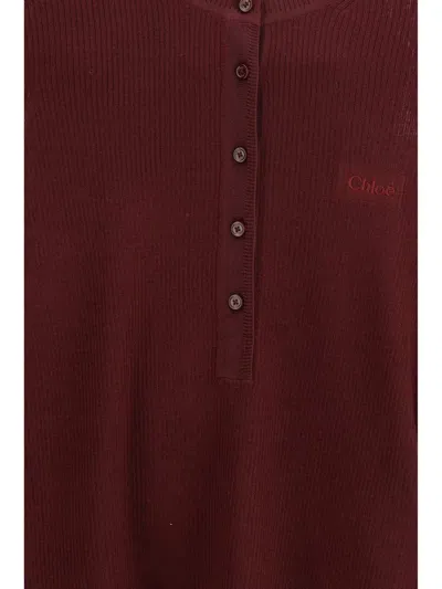 Chloé Bordeaux Wool Long Sleeve T-shirt In Brown