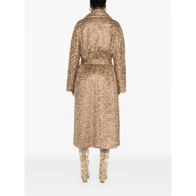 Valentini 1972 Furs Gold In Brown