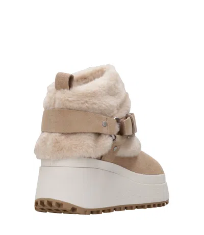 Ash Boots Brown In Multi