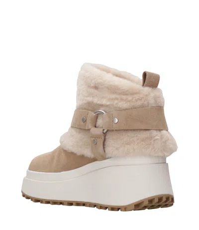 Ash Boots Brown In Multi