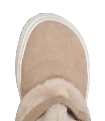 Ash Boots Brown In Multi