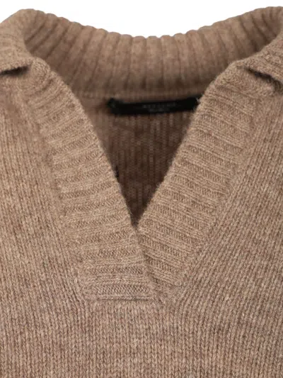 Weekend Max Mara Wool Polo Shirt Knitwear Grey In Brown