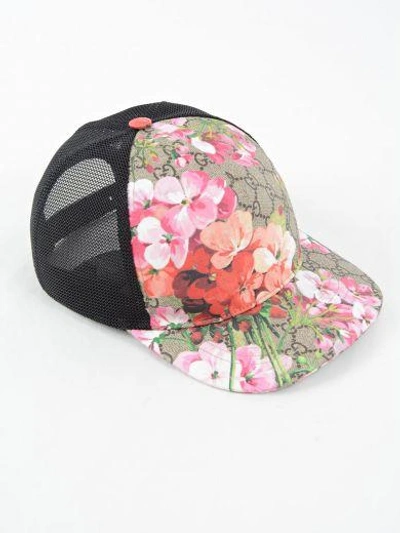 Shop Gucci Baseball Hat In Dark Brown/pink