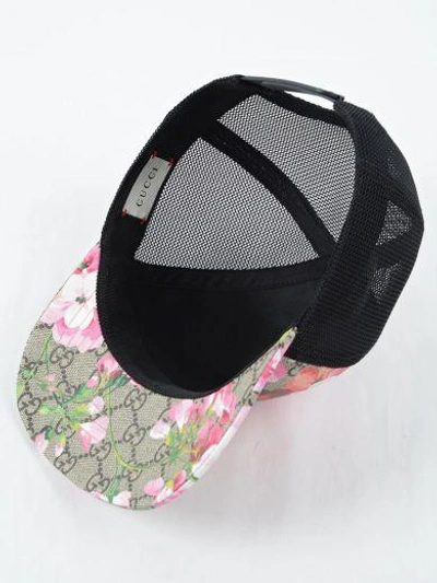 Shop Gucci Baseball Hat In Dark Brown/pink