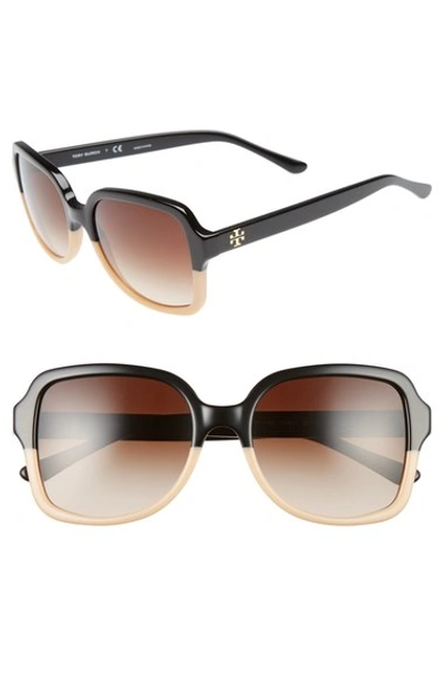 Shop Tory Burch 55mm Square Sunglasses In Black/ Tan