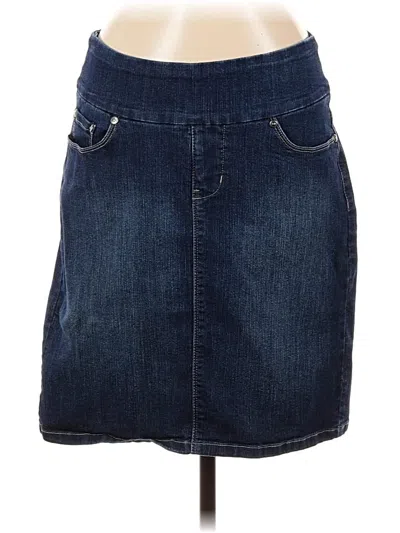 Pre-owned Jag Denim Skirt In Blue