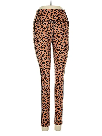 Pre-owned Aqua Leggings In Orange