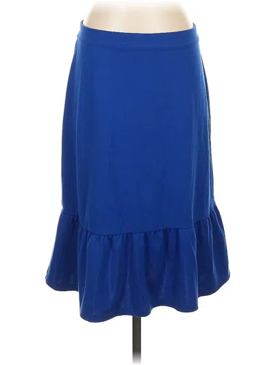 Pre-owned Garnet Hill Casual Skirt In Blue
