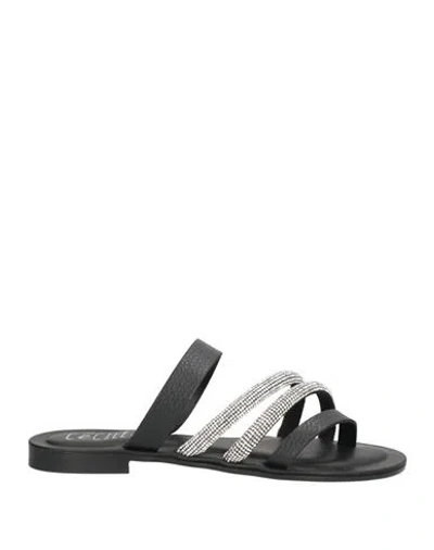 Cécile Cecile Woman Thong Sandal Black Size 10 Leather In Black
