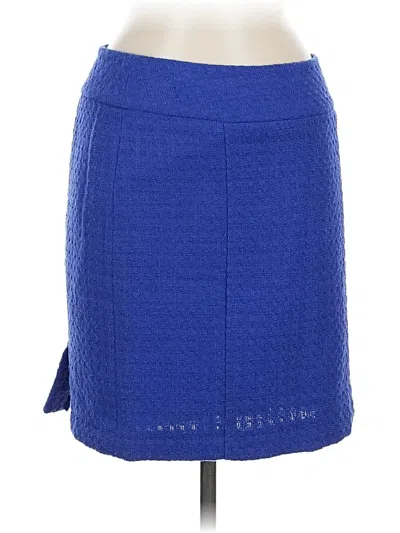 Pre-owned Chadwicks Casual Skirt In Blue