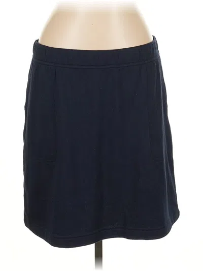 Pre-owned Jjill Casual Skirt In Blue