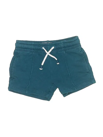 Pre-owned Tucker + Tate Kids' Board Shorts In Blue