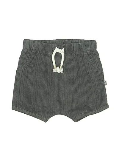 Pre-owned Modern Moments Babies' Shorts In Gray