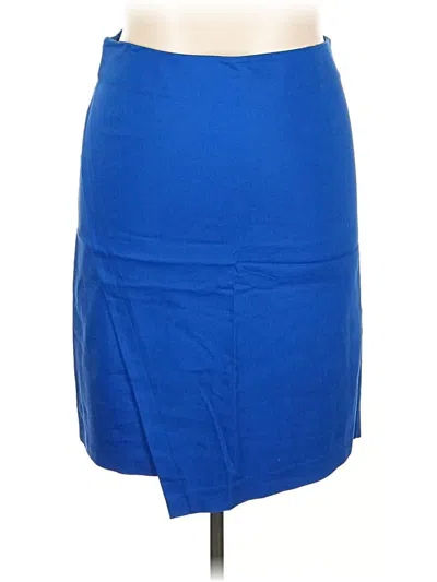 Pre-owned Lane Bryant Casual Skirt In Blue