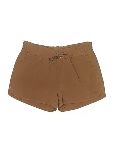 Pre-owned Carve Designs Khaki Shorts In Brown