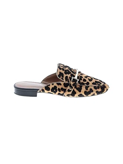 Pre-owned Franco Sarto Mule/clog In Brown