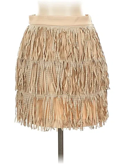 Vici X Gina Casual Skirt In Brown