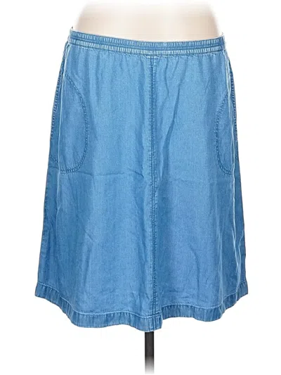 Pre-owned Jjill Denim Skirt In Blue
