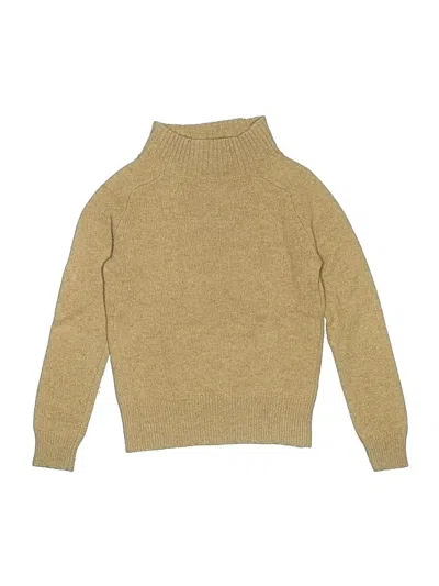 Pre-owned Crewcuts Kids' Turtleneck Sweater In Brown
