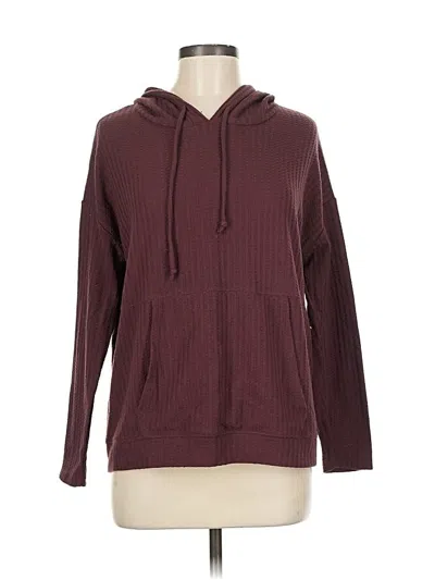 Pre-owned Chaser Pullover Hoodie In Burgundy