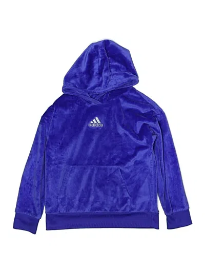 Pre-owned Adidas Originals Kids' Pullover Hoodie In Blue