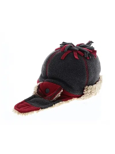 Pre-owned Baby Gap Kids' Winter Hat In Gray